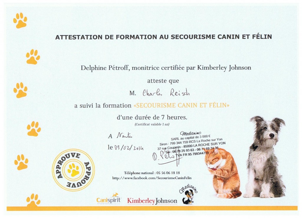 diplôme secouriste canin felin